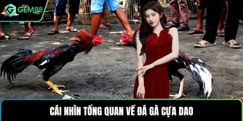 Cái nhìn tổng quan về đá gà cựa dao
