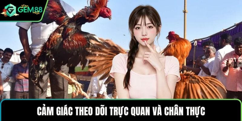 Cảm giác theo dõi trực quan và chân thực