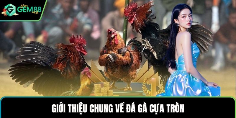 Giới thiệu chung về đá gà cựa tròn